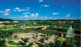 沈北新区最新爆料,揭秘神秘项目背后的惊人真相